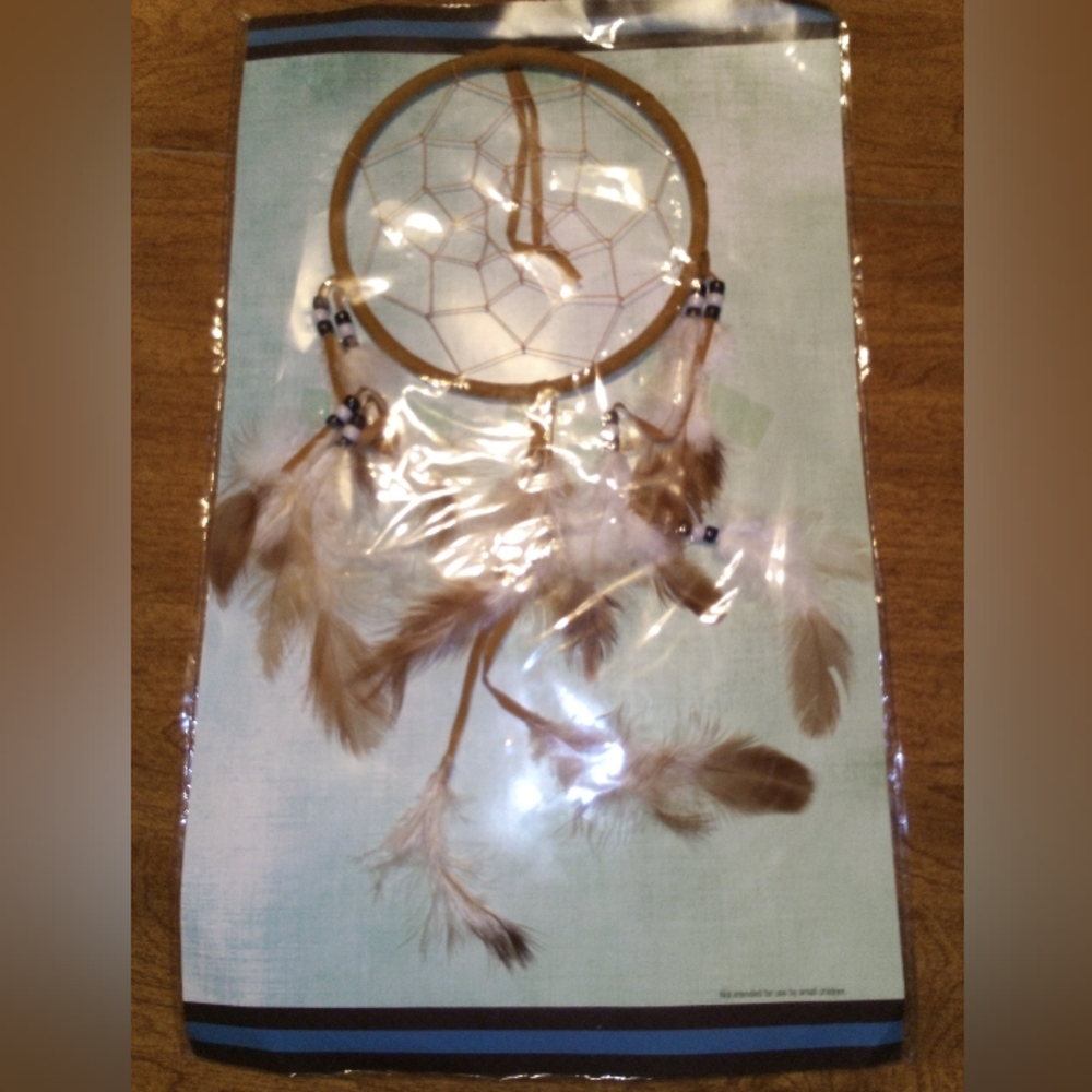 Legend Of The Dreamcatcher St. Joseph's Indian School 5 Inch